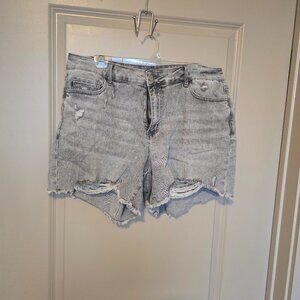 Judy Blue Shorts